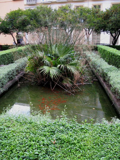 Der hübsche Garten hinter der Kathedrale....