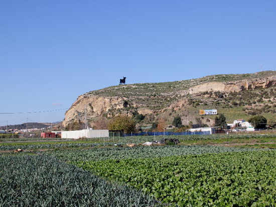 Gemüseplantagen ausserhalb Malagas...