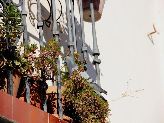 Gibt es für mich was zu futtern...?