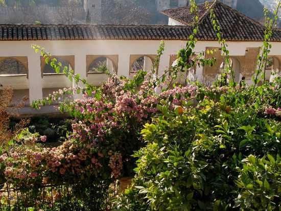 In der Sommerresidenz...