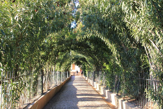 Und langsam geht's dem Ausgang entgegen...