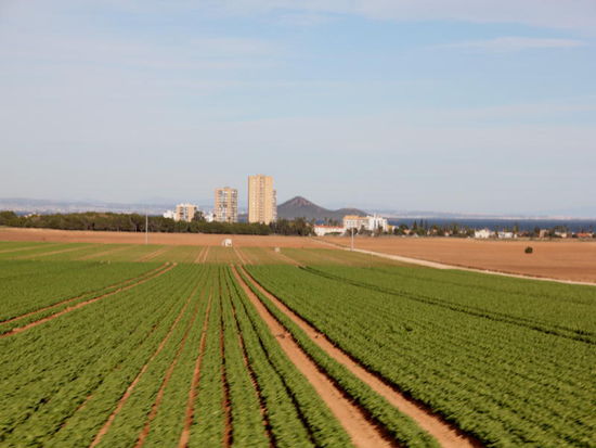 Fahren wiederum durch grosse Gemüsegärten...