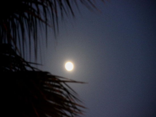 Vollmondnacht in La Marina...