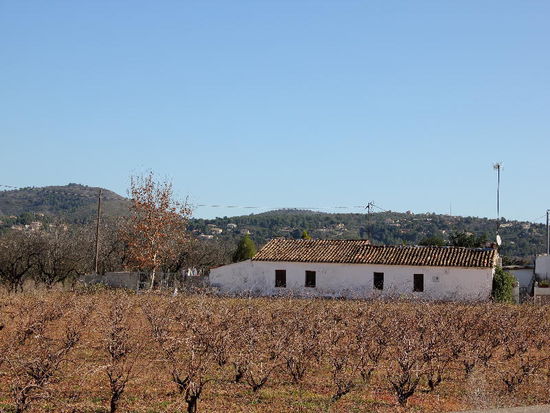 Hier gedeiht der edle Rebensaft; der Wein wird nach alter Tradition hergestellt und ist eine besondere Köstlichkeit... Danke Juan für den Tipp...
