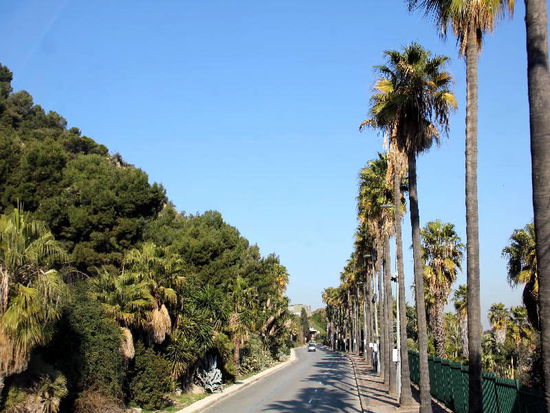 Hinauf auf den Montjuic, um die Aussicht zu geniessen....