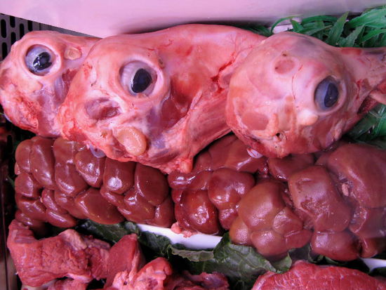 Schafsköpfe im wahrsten Sinne des Wortes...