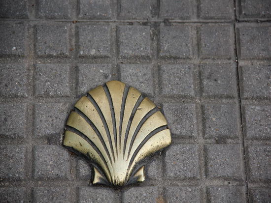 Auch in Léon ist die Jakobsmuschel präsent...