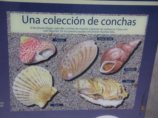 Das könnte gefunden werden...