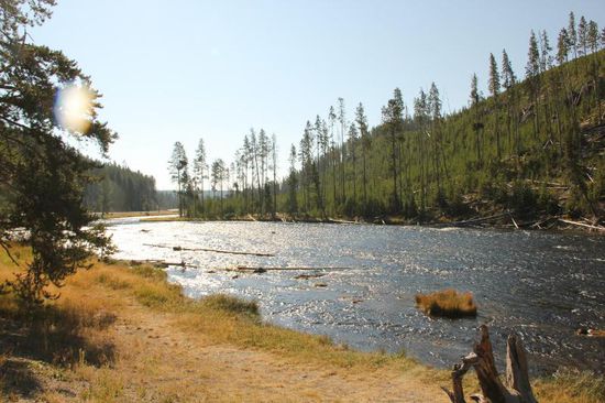 Wir fahren dem Firehole River entlang..
