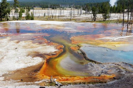 Am Firehole Lake Drive...; wow - welch eine Farbenpracht...