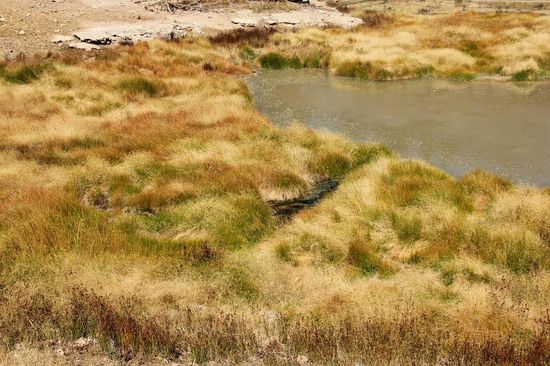 Mal ist es friedlich...