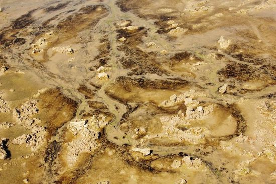 Hier Bakterien beladen...