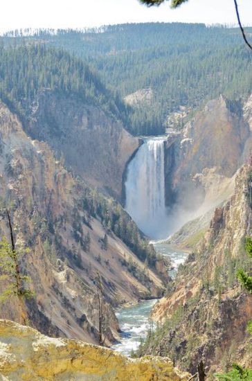 Vor Canyon Village biegen wir ab und besuchen die Lower Falls... - gute 90 Meter hoher Wasserfall...
