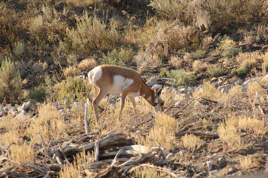 Was wir heute nicht alles sehen...