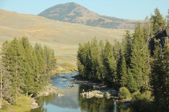 Wir fahren dem Lamar River Richtung Ausgang Nord-Ost des Parks...