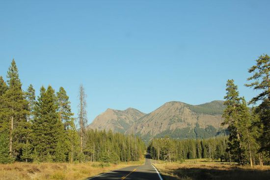 Nun sind wir aus dem Park...