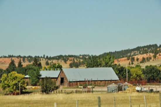 Wir fahren auf einer Nebenstrasse weiter, treffen auf verschiedene Farmen...