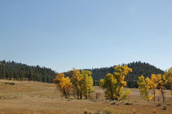Mitte September  - der Herbst hält Einzug...