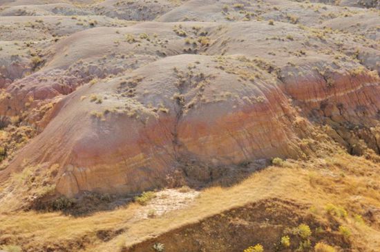 Ständig sich verändernde Bilder...