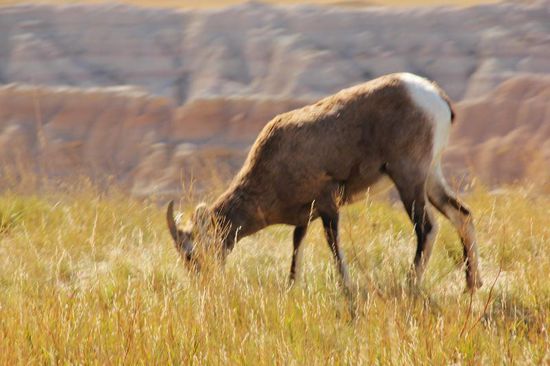 Ihnen ist es offensichtlich wohl in dieser Gegend...