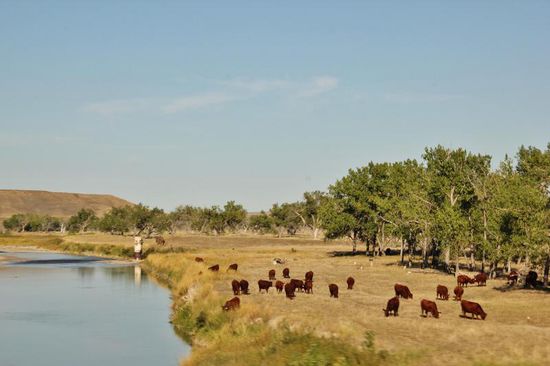Vorbei an schönem Weideland fahren wir nach Rapid City...; hier beziehen wir unser Nachtlager und erledigen unsere Alltagsarbeiten...; Gute Nacht...!
