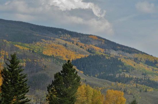 In den schönsten Herbstfarben - bunte Pappelwälder...