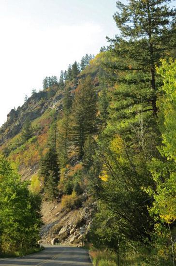 In Aspen - Basalt werden wir schliesslich fündig...; schnell aufstellen, eine Kleinigkeit essen und von den vielen Farben der bunten Wälder träumen...; gute Nacht...!