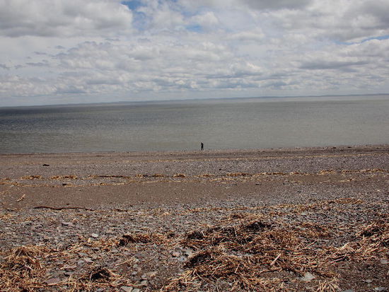 Im Moment ist Ebbe, der Strich unten am Wasser zeigt mich...! - und zeigt somit auf, wie weit sich das Wasser bei Ebbe zurückzieht...