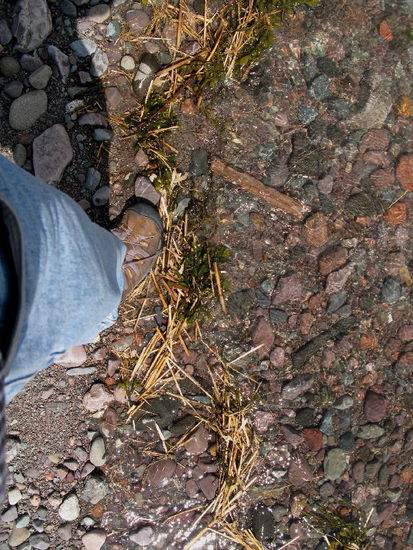 Das Wasser steigt wieder an...