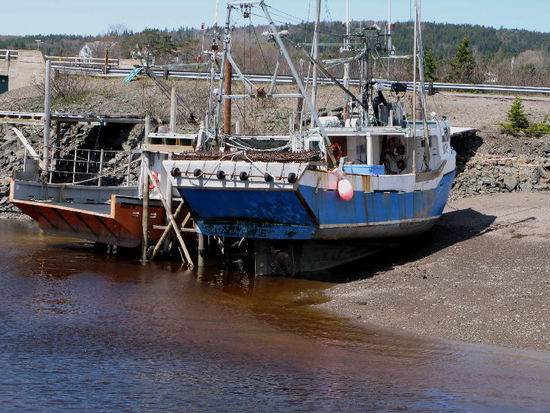 Im "Advocate Harbor" liegen die Schiffe immer noch auf dem Trockenen...