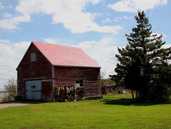 Wieder auf dem Rückweg...