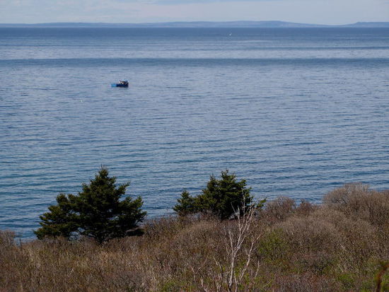Rastplatz auf Cape Breton...