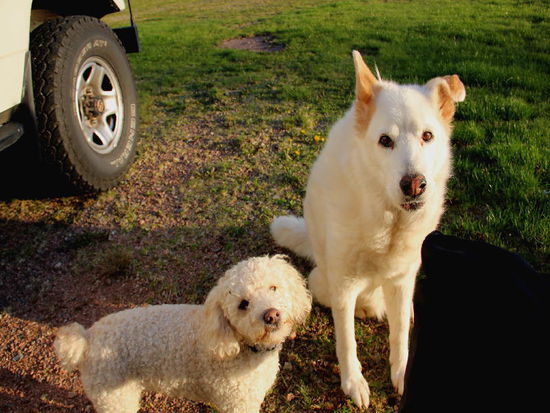 Der Kleine gehört auch noch dazu...