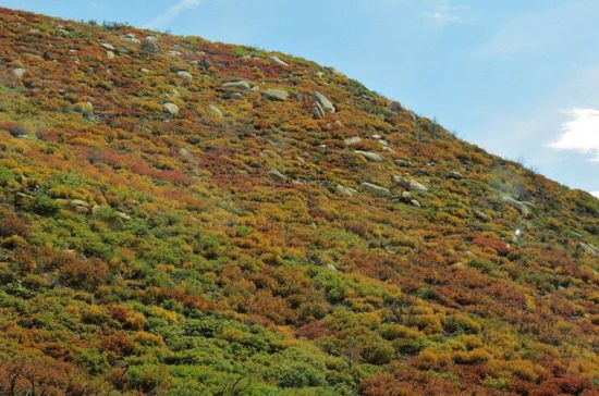 Verblüffung pur über all die herbstlichen Farben...