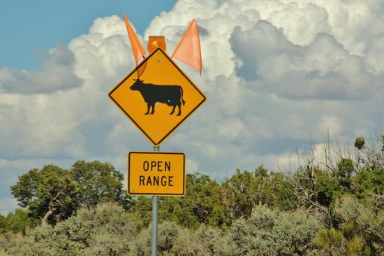 Und schon sind wir wieder in einer andern Welt...