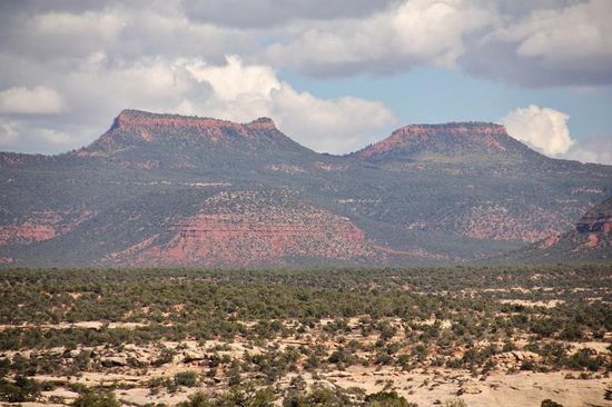 Die Bears Ears... (Bärenohren...)