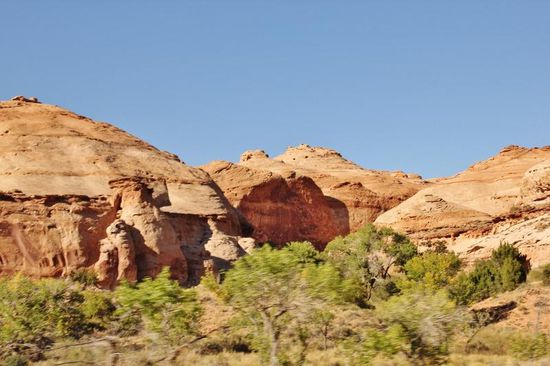 Die Landschaft verändert sich wiederum...