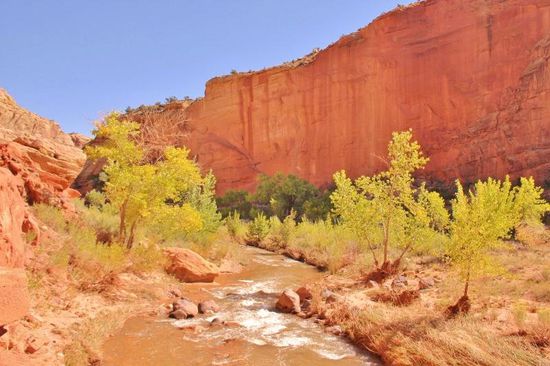 Und schon sind wir wieder am Fremont River...