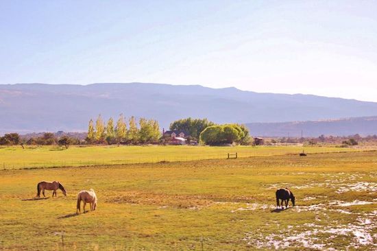 Ein paar Meilen müssen wir zurückfahren, um dann erneut in die Berge abzubiegen...