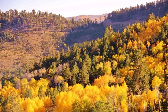 Wir finden den "Indian Summer" wieder...