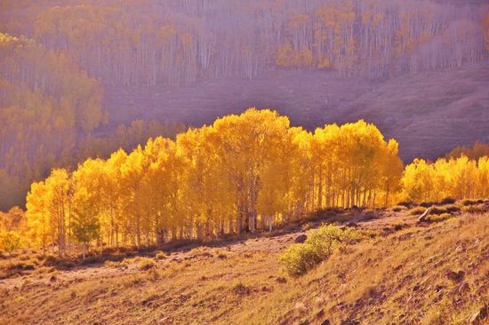 Tolle Abendstimmung...