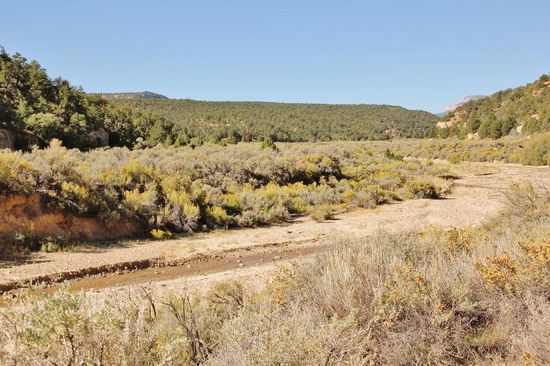 Im Escalante Petrified Forest State Park...