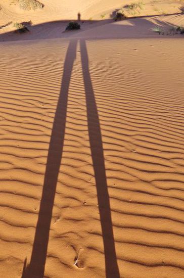 Lange Schatten verkünden den Abend...; wir geniessen eine ruhige Nacht auf dem herrlich gelegenen CP im "Coral Pink Desert Sand Provincial Park"...