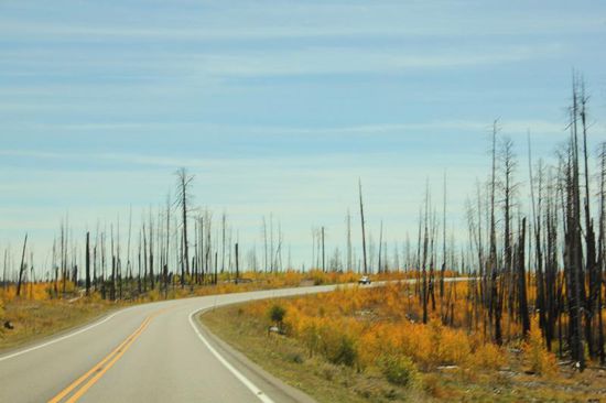 Wir fahren in den Grand Canyon North Rim...