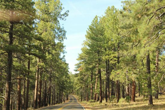 Zeit für uns, den Park zu verlassen...