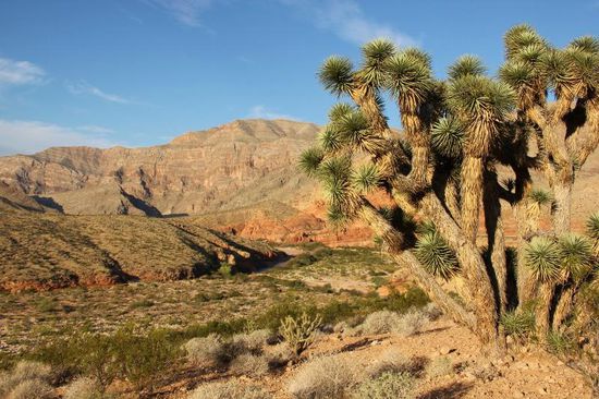 Hier lernen wir Gerlinde und Gunther mit ihren Kindern kennen...; die Beiden sind aus Österreich aus beruflichen Gründen ausgewandert und sind in San Francisco heimisch geworden...; wir führen ein längeres Gespräch mit ihnen und abends trinken wir zusammen ein Glas Wein und tauschen die Adressen...; danke an dieser Stelle für die nette Unterhaltung und den Versuch, mein Notebook in Gang zu bringen...