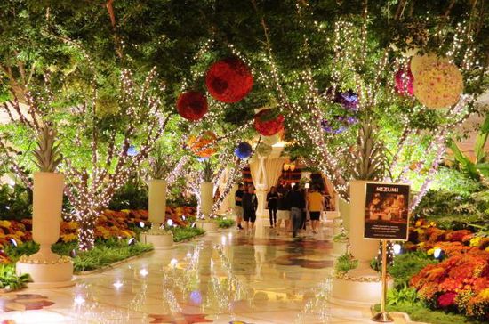 Der Blumenschmuck im "Venetien" - alles frische Blumen...