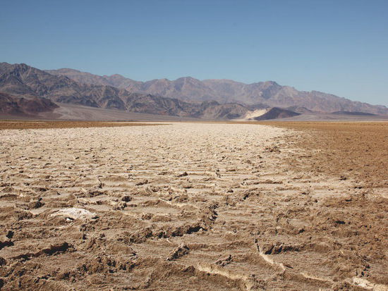 Kunstvoll geformt...