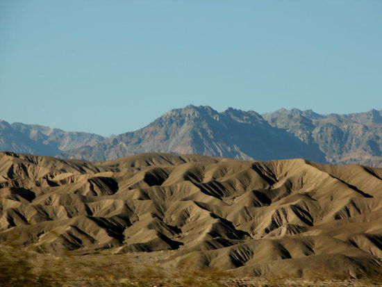 Unglaublich, diese Vielfalt...