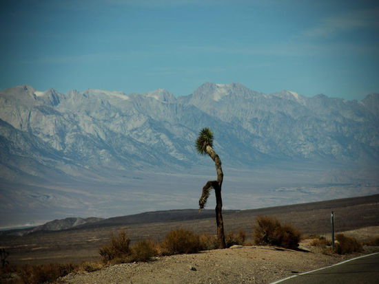 Und auf den Bergrücken der Sierra Nevada liegt der erste Schnee...
